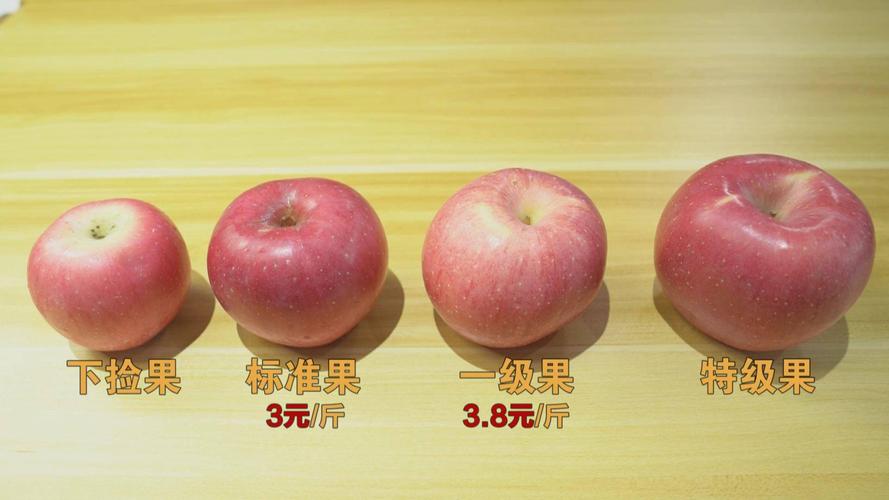 60 的苹果一斤有几个