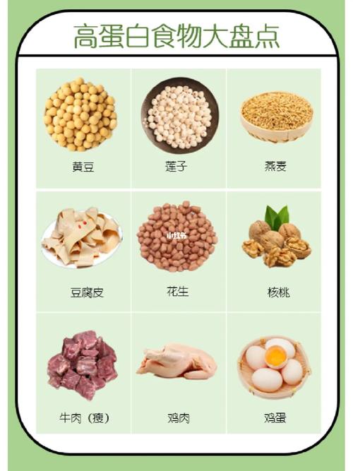哪些食物可以补充蛋白质(1)