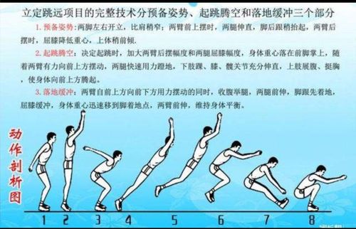 斗牛舞基本步跳法和名称(1)