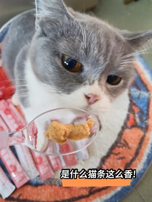猫咪爱吃什么(1)