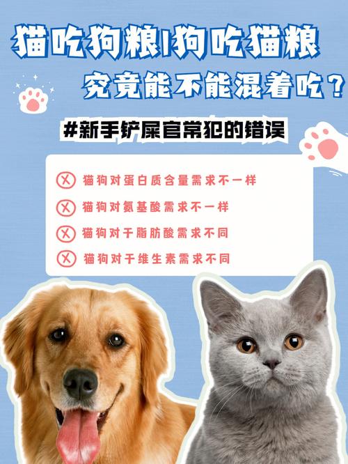 狗狗吃猫粮有什么危害(1)