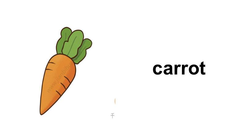carrot可数吗
