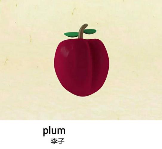 plum的意思是啥