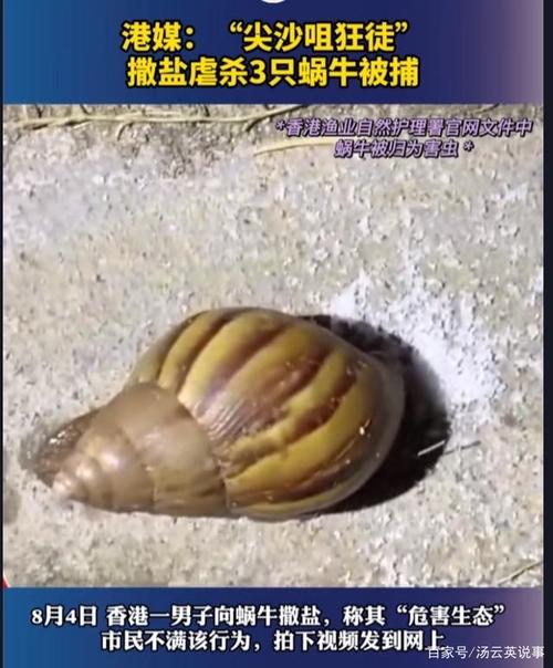 为什么蜗牛碰到盐就会死(3)