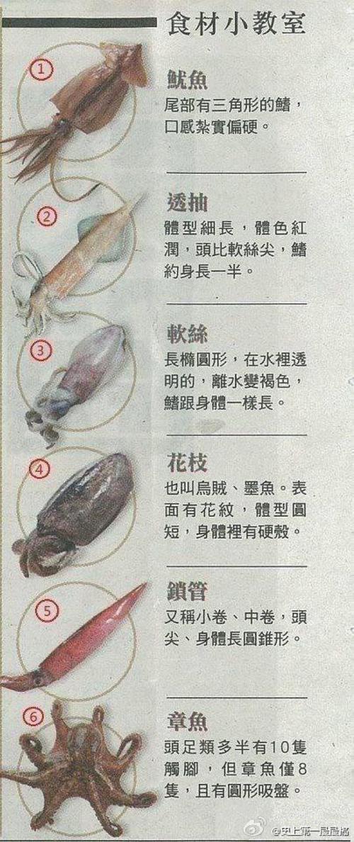 三线鱼的饲养方法(1)