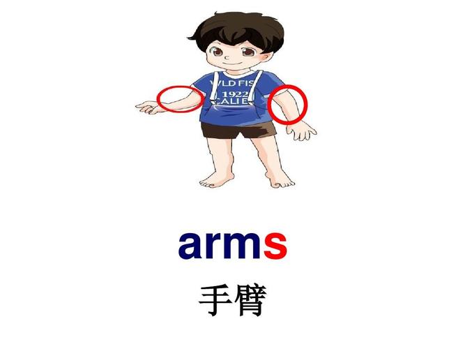 英语arms是什么意思(1)