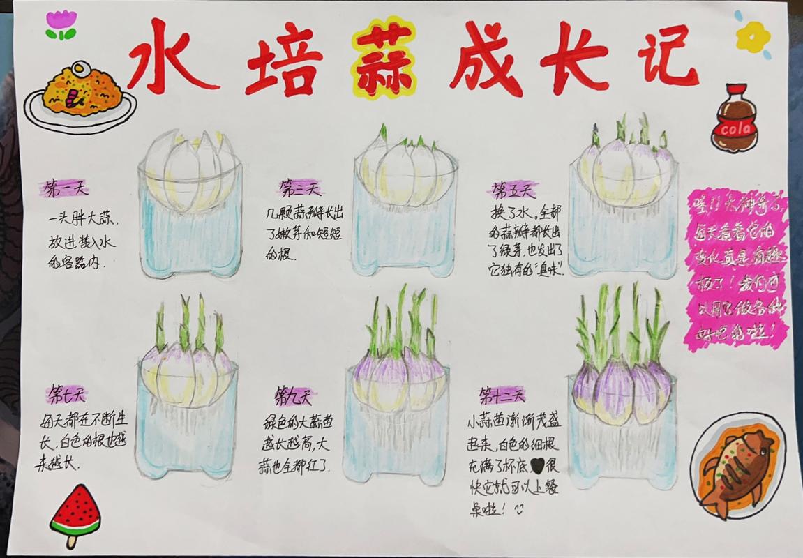 大蒜怎样种植(5)