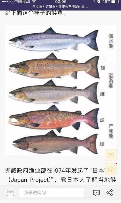 三文鱼是淡水鱼还是海里的鱼(4)