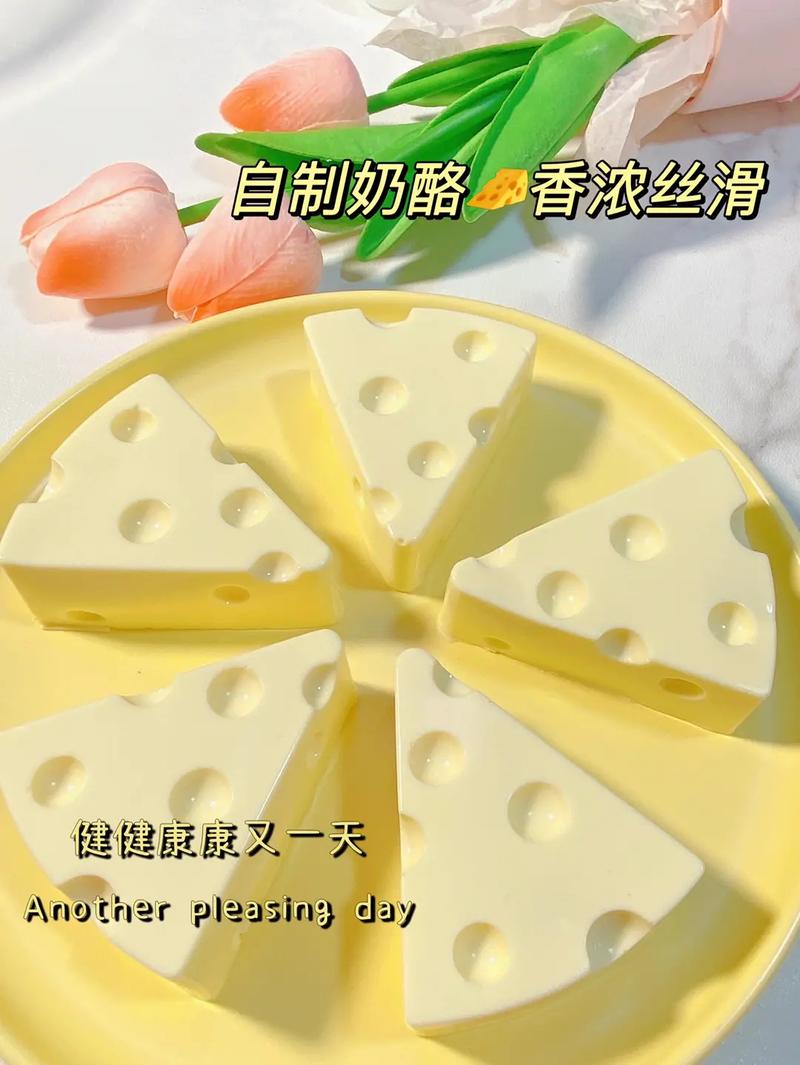 正宗奶酪的做法和配方(2)