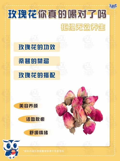 玫瑰花的功效作用禁忌和食用方法(1)
