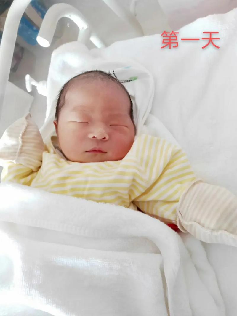 23年1月31日出生宝宝叫李宥琛好吗