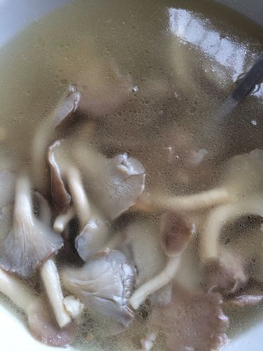 凤尾菇的十种最佳吃法