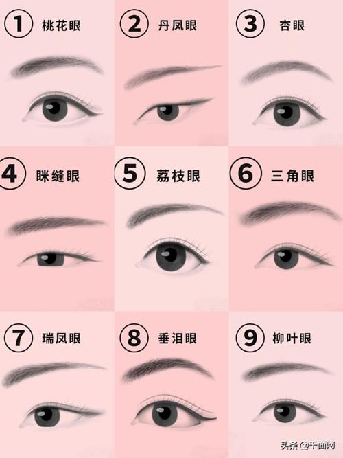 人的眼睛有几种形状