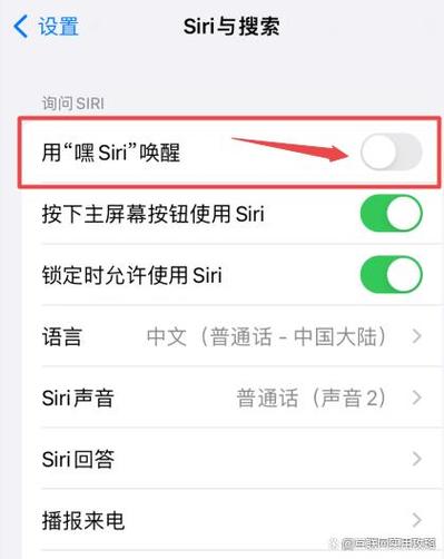 iphone苹果手机怎样打开siri(1)