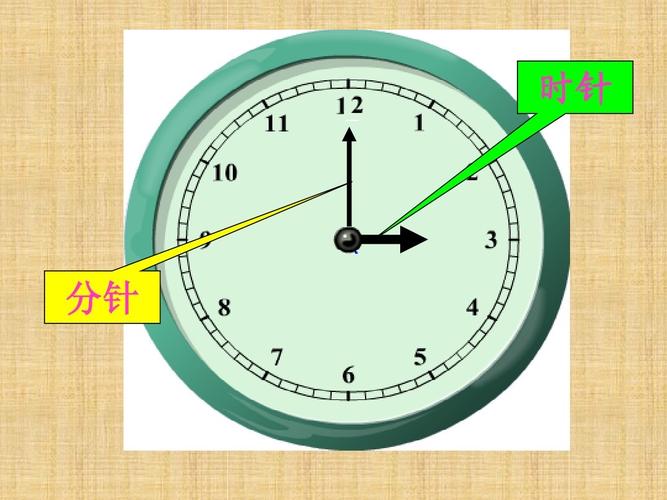 钟表有几根针 分别是什么(2)