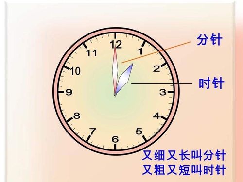 钟表有几根针 分别是什么(4)