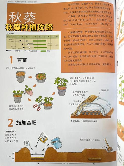 香椿芽苗菜种植技术(1)