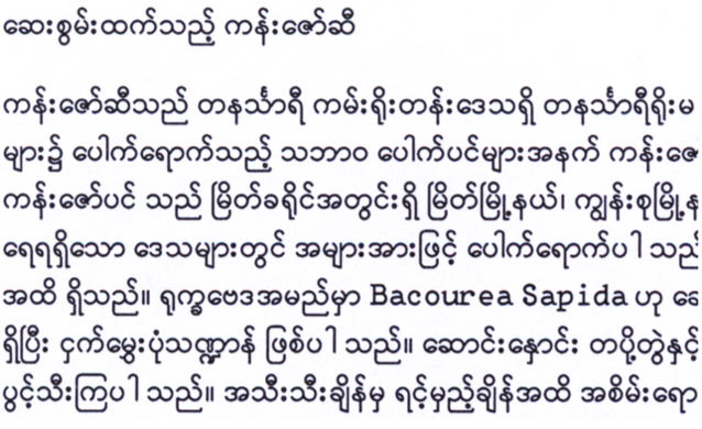 缅甸文字是什么样子