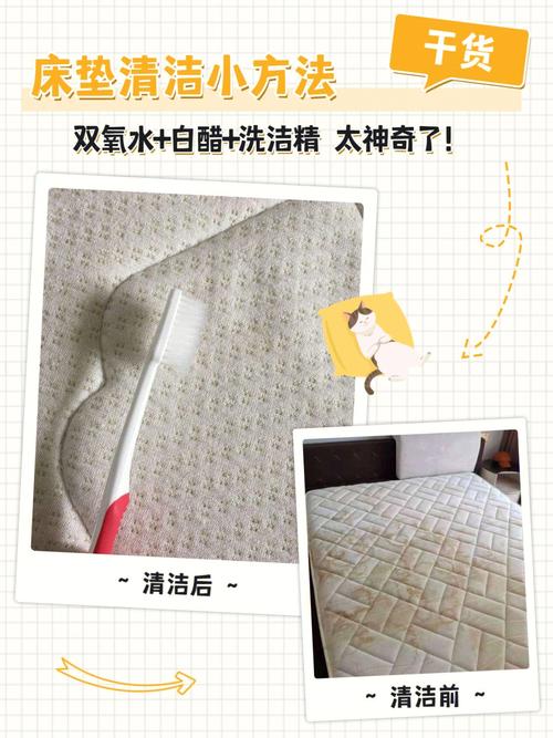 怎么清洁床垫(1)