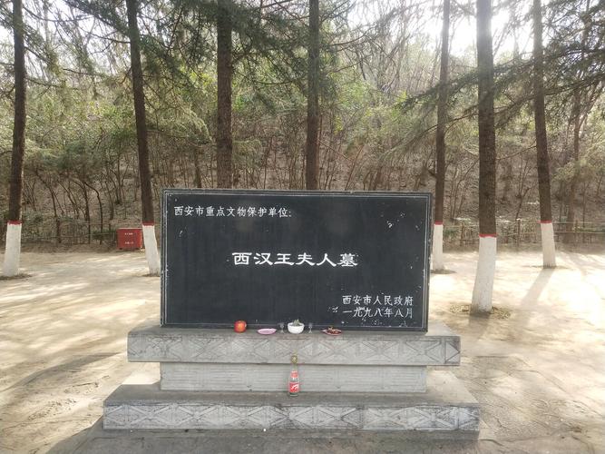 文景山公园是谁的墓(1)