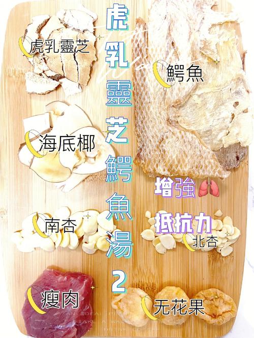 深海白玉螺片怎么吃(1)