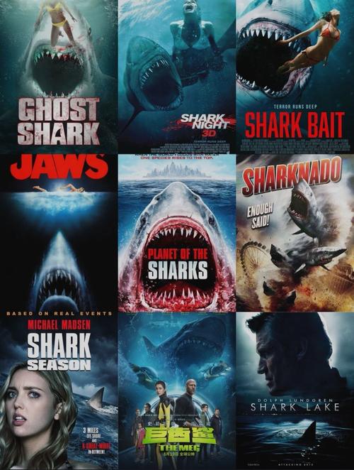 什么鲨鱼的电影好看