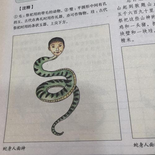 广东话蛇头指什么人(1)