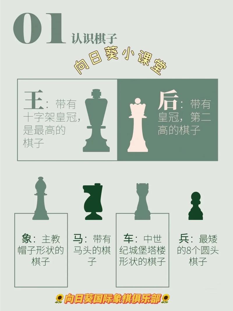 几岁开始学国际象棋最好(1)