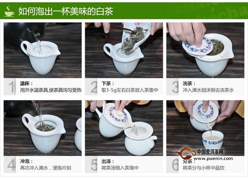安吉白茶的泡法是怎样的(1)