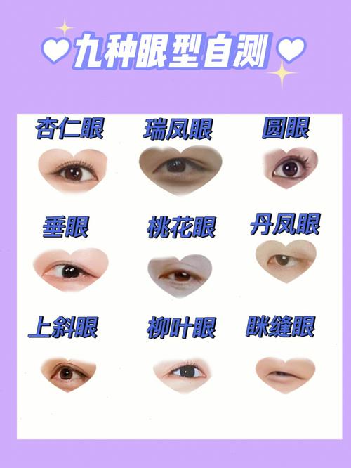 人的眼睛有几种类型(1)