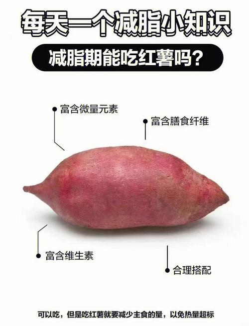 减肥吃紫薯好还是红薯好(1)