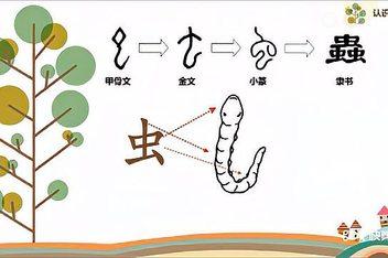 虫字旁的动物有哪些字(4)