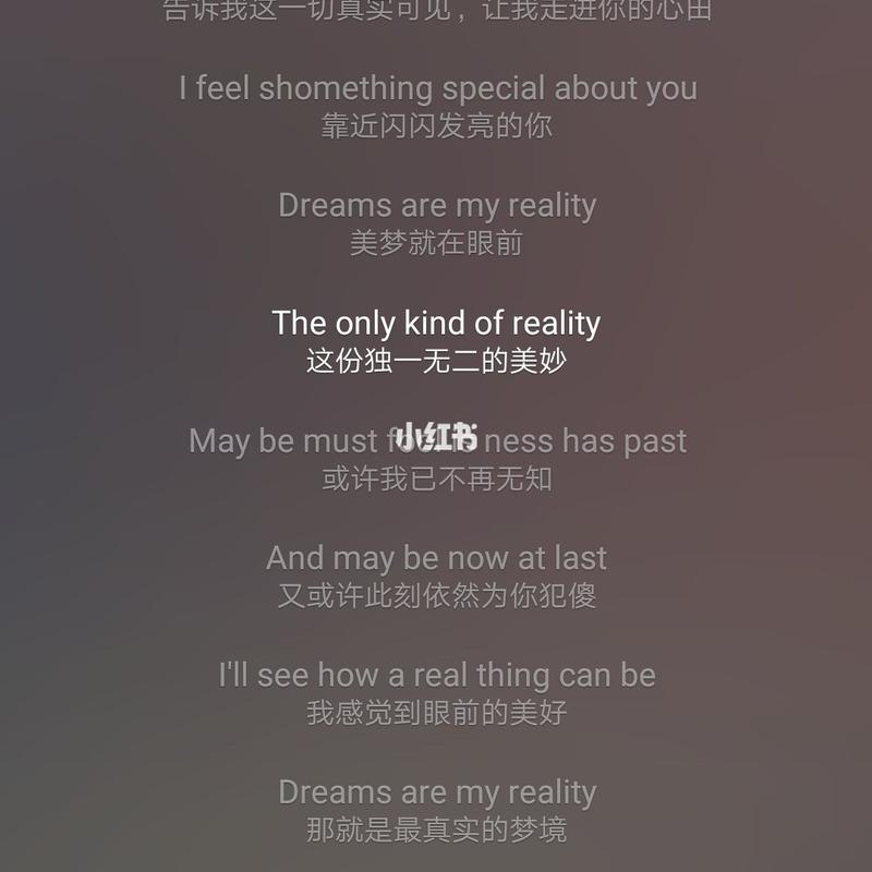 卫兰的《Reality》中文歌词是甚麽(1)