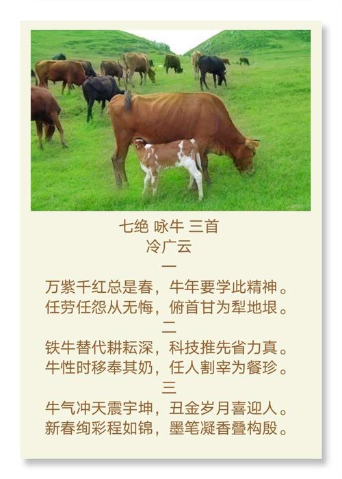 咏牛最好的十首诗(1)