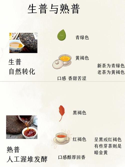 普洱茶生茶和熟茶哪个刮油效果更好(1)