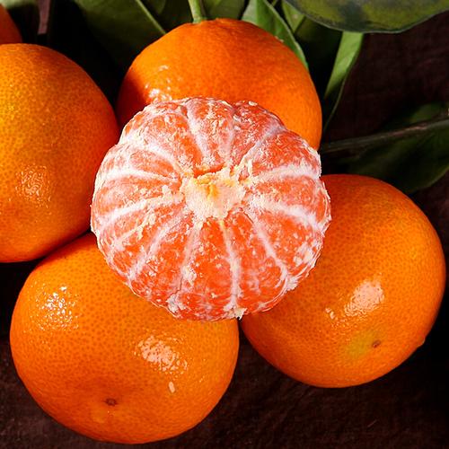 什么是橘子蜜(1)