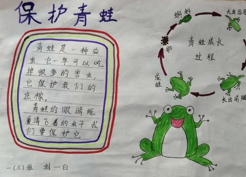 小学一年级怎么保护小青蛙