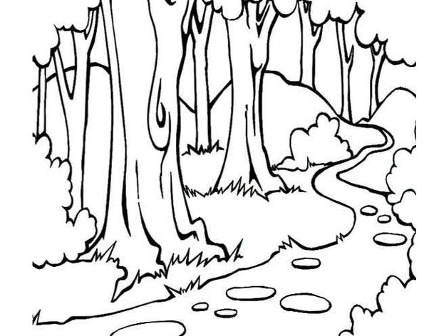 简笔画如何画树林(1)