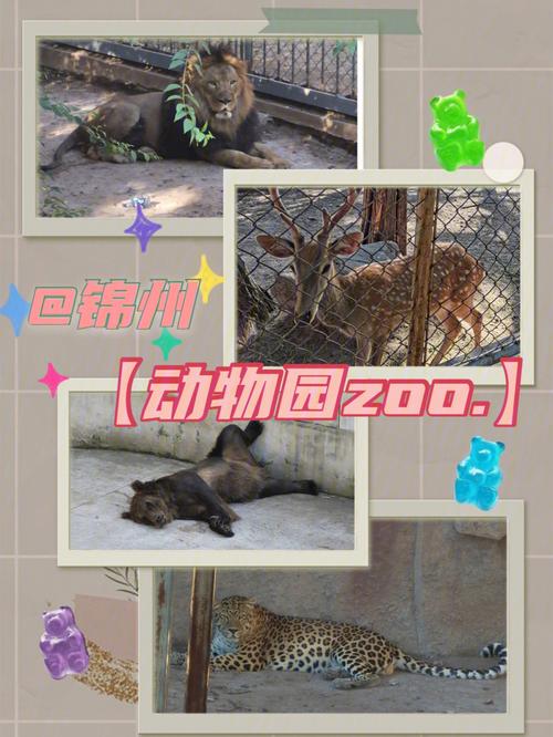 锦州市动物园在市区吗(2)