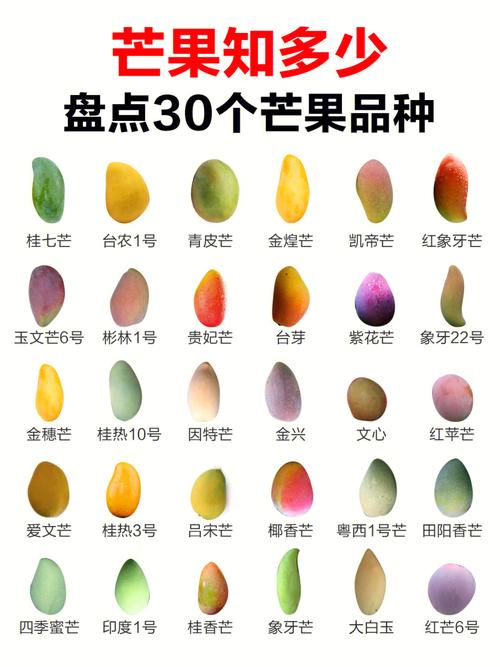 芒果的品种有哪些(1)