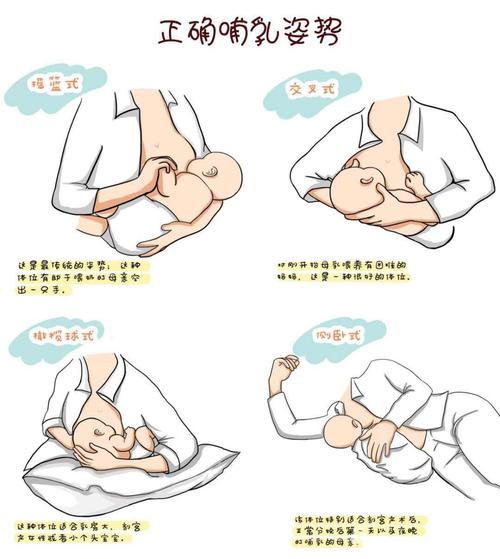 母乳喂养的方式(1)