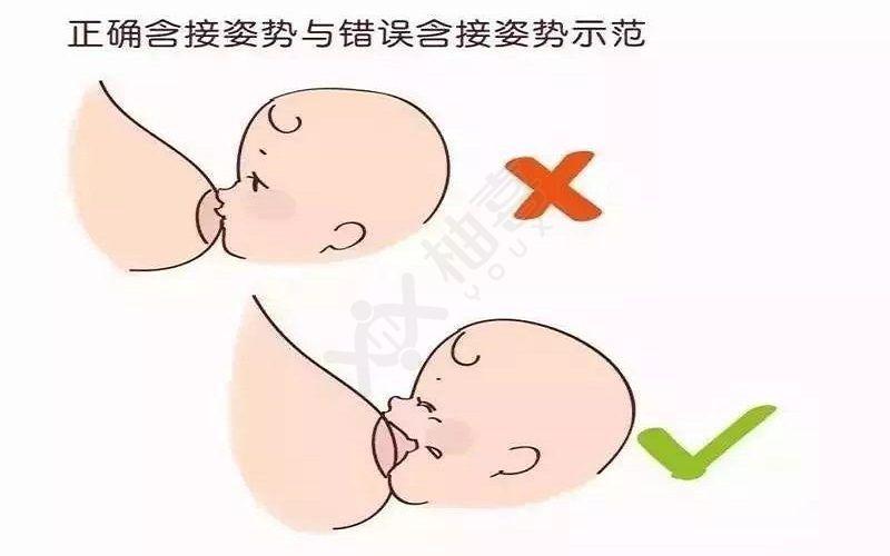 母乳喂养的方式(3)