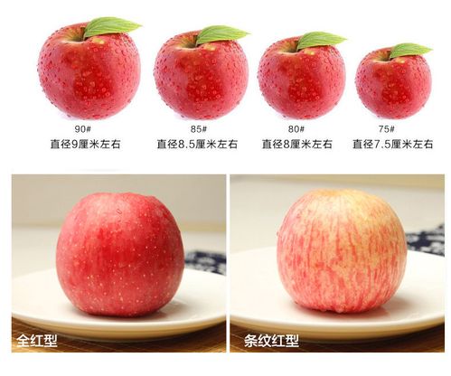 正常苹果一斤几个(1)