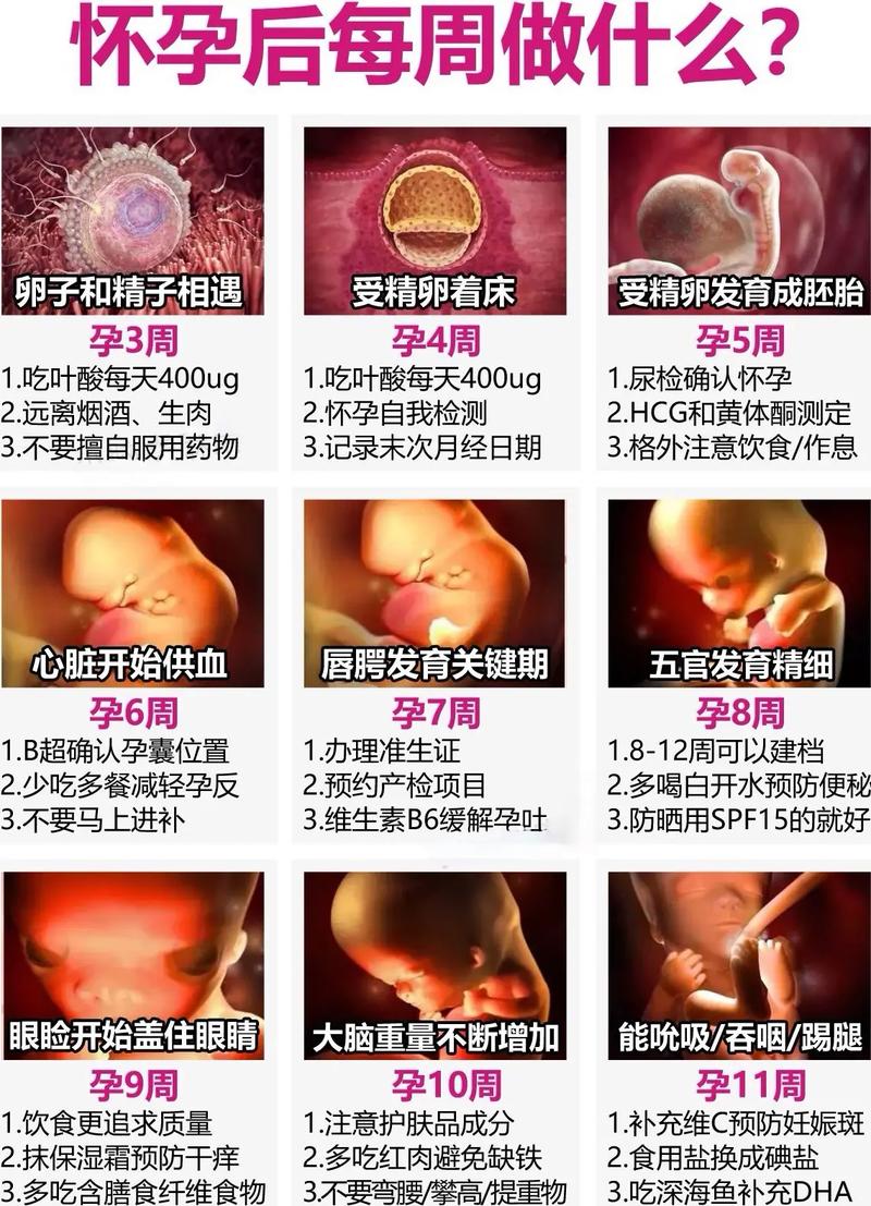 怀孕流血跟月经区别(1)