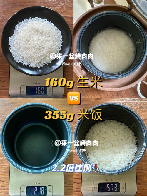 米饭多久能熟(1)