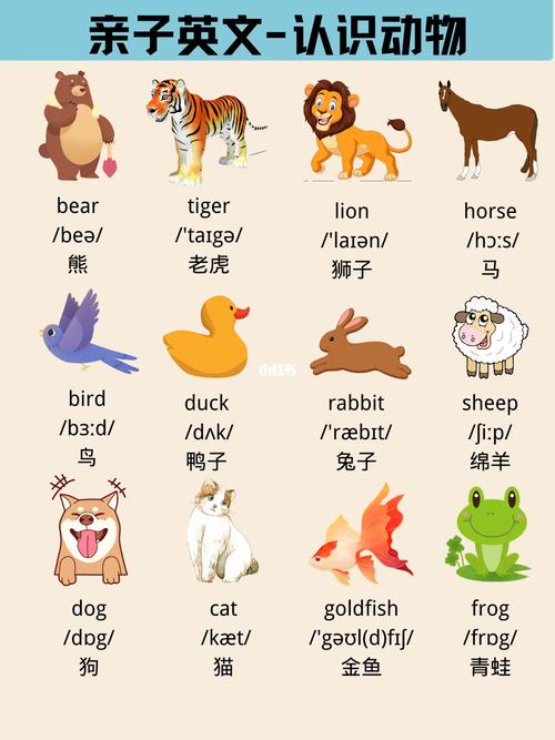 关于动物的英语单词怎么读