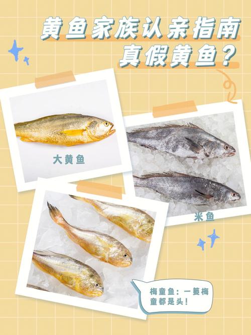 湄公鱼和清江鱼哪个好吃刺少(2)