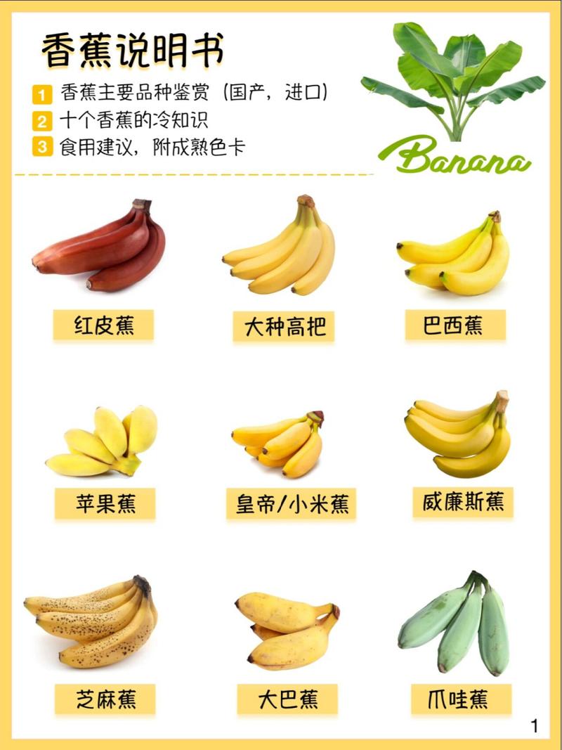 减脂香蕉一天吃几根合适(3)