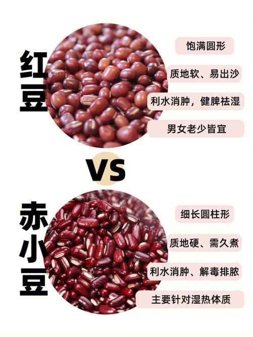 莲子和红豆的区别(1)