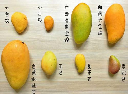 芒果的种类有哪些